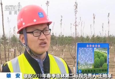 雄安新区"千年秀林"春季造林工程近7万亩 第二标段顺利完工(组图)