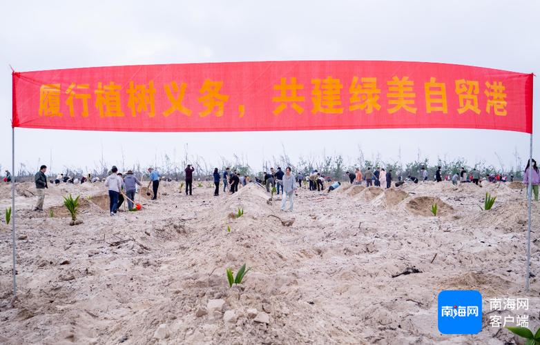 海南开展全民义务植树活动 种植椰子苗百余亩