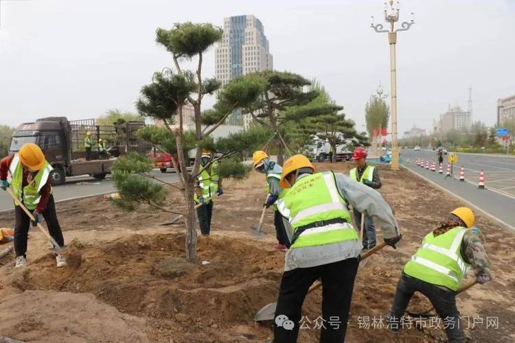 随着种植工作的推进,一株株乔,灌木在道路两旁"安家落户",为城市增添